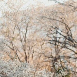 Meet your Posher, Male